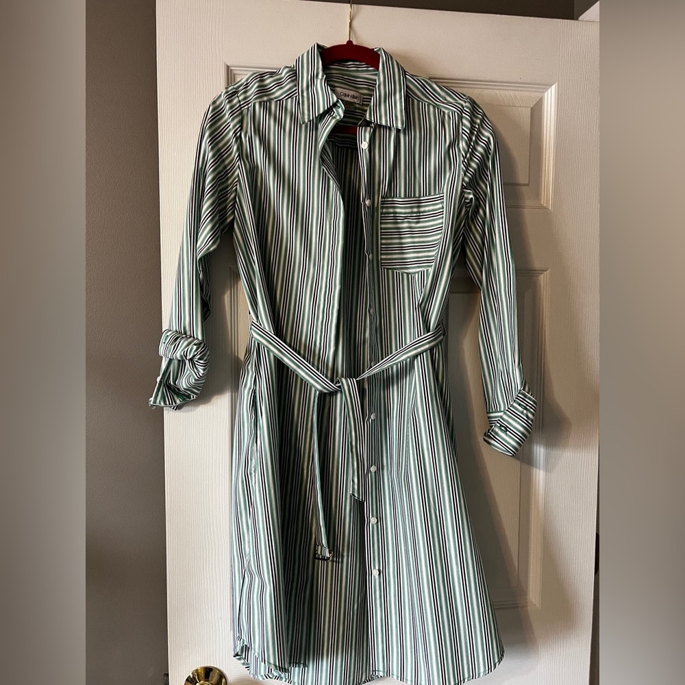 Calvin Klein boyfriend button down dress size 2
